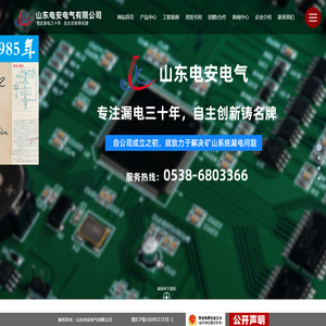 山东电安电气有限公司